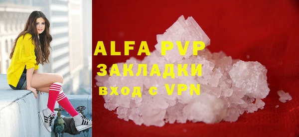 дмт Магас
