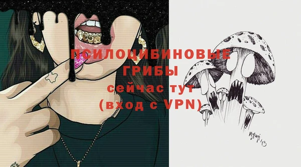 дурь Наволоки